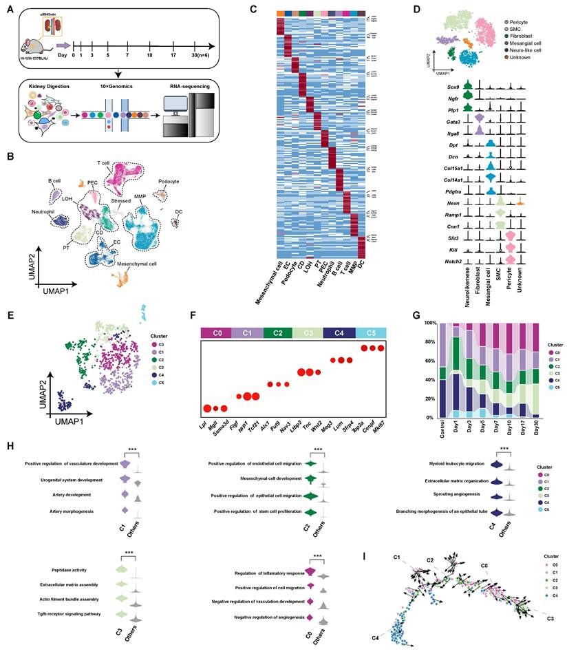 Int J Biol Sci Image