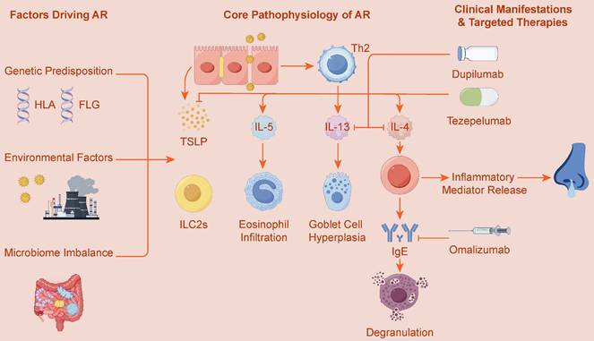 Int J Biol Sci Image