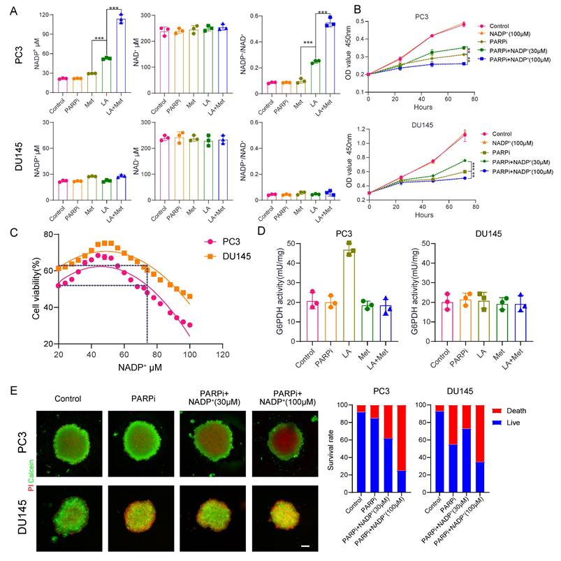 Int J Biol Sci Image
