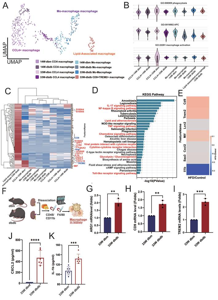 Int J Biol Sci Image