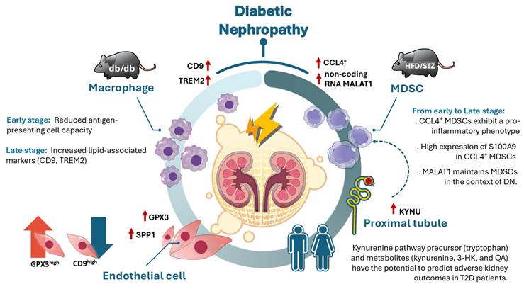 Int J Biol Sci Image