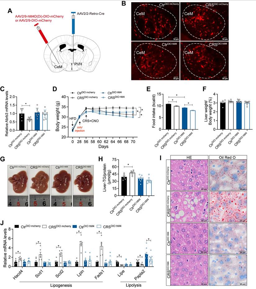 Int J Biol Sci Image