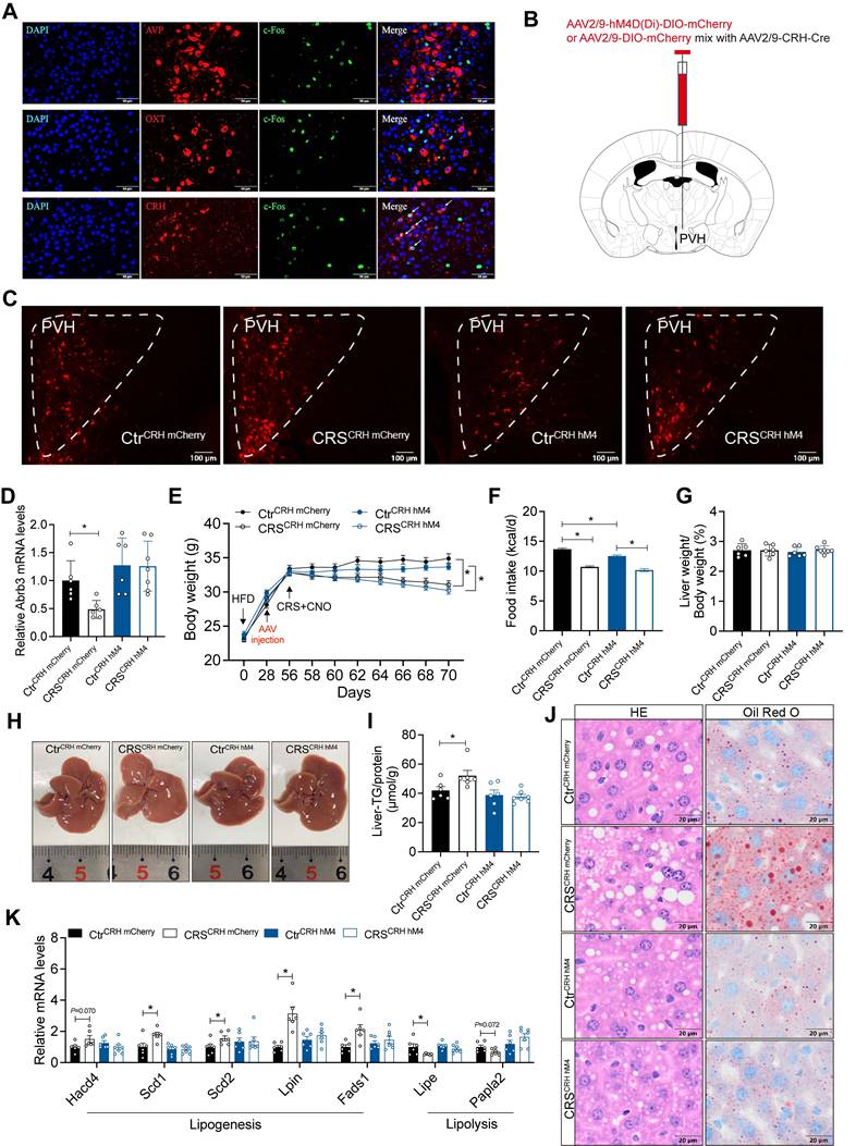 Int J Biol Sci Image