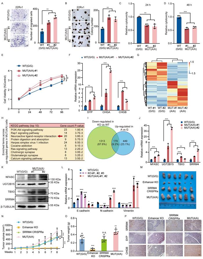 Int J Biol Sci Image