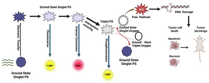 Int J Biol Sci Image