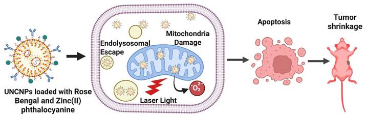 Int J Biol Sci Image