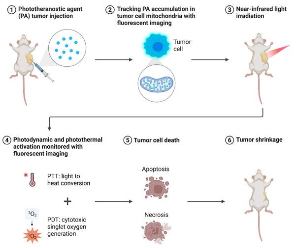 Int J Biol Sci Image