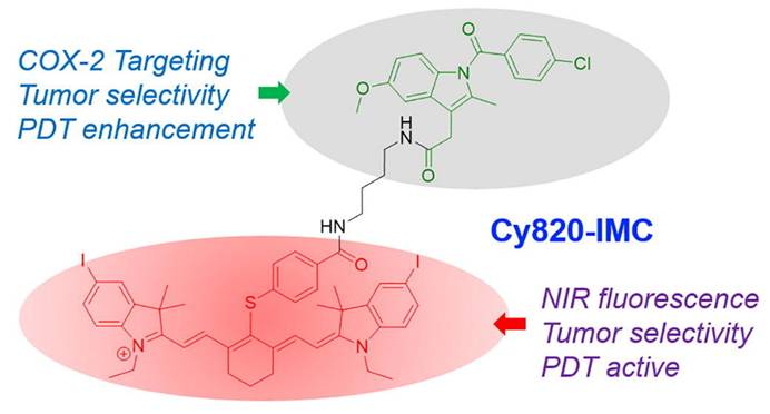 Int J Biol Sci Image