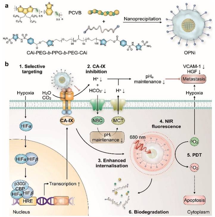 Int J Biol Sci Image