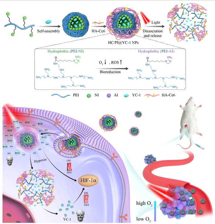 Int J Biol Sci Image
