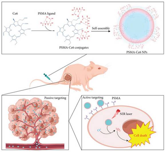 Int J Biol Sci Image