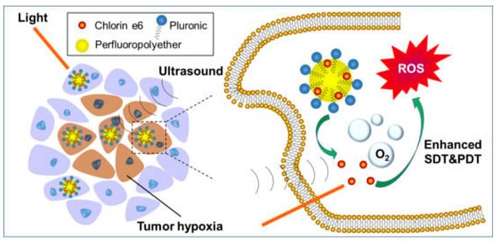 Int J Biol Sci Image