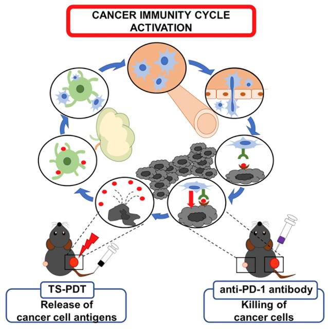 Int J Biol Sci Image