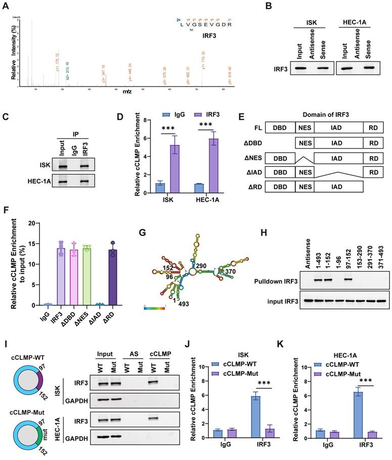 Int J Biol Sci Image