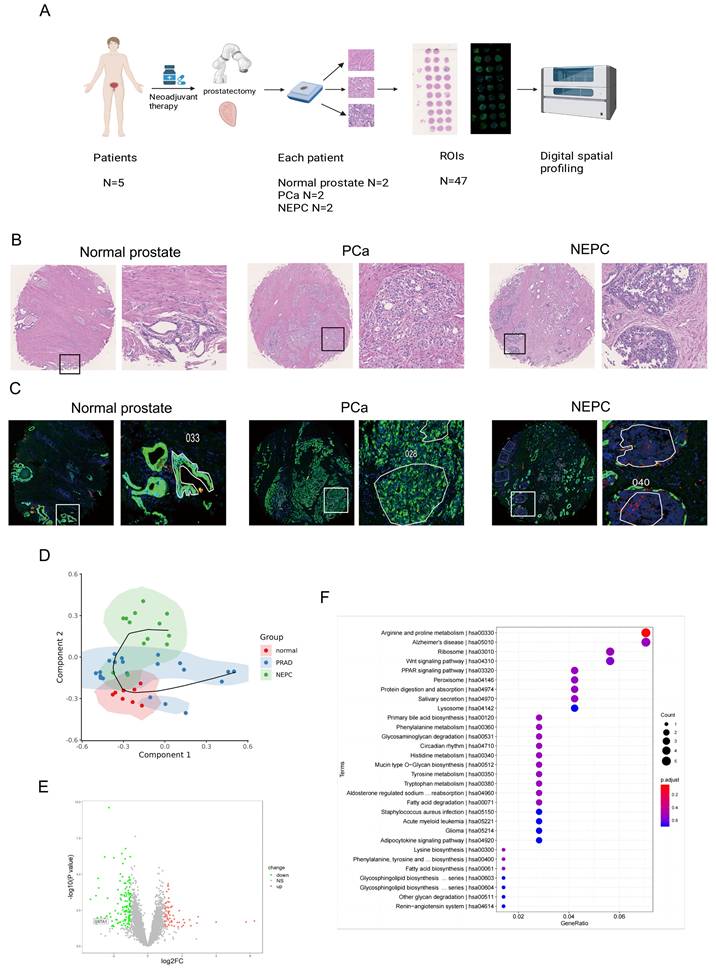 Int J Biol Sci Image