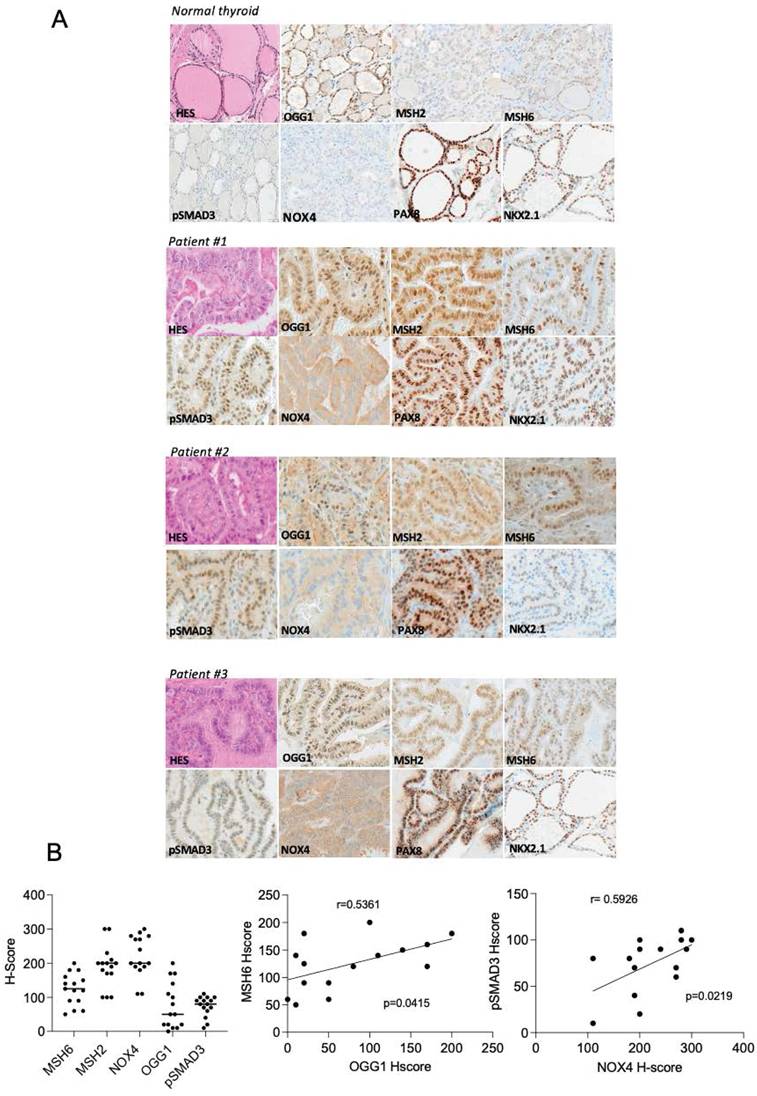 Int J Biol Sci Image
