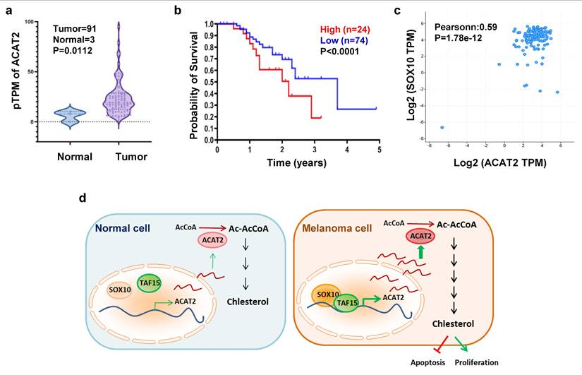 Int J Biol Sci Image