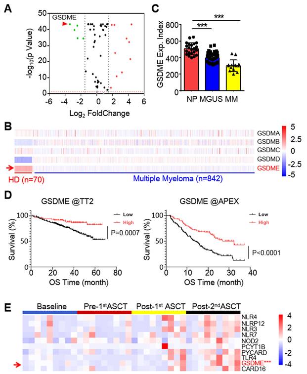 Int J Biol Sci Image