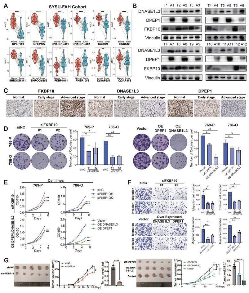 Int J Biol Sci Image
