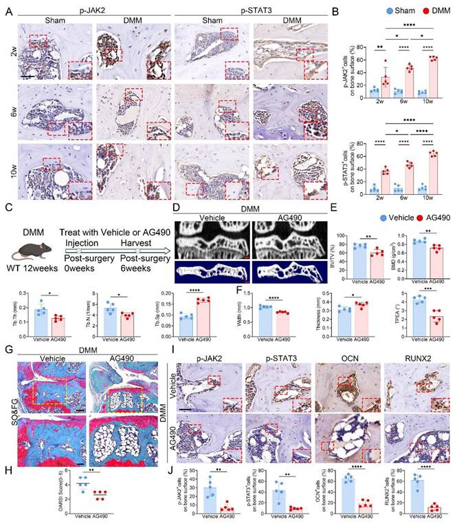 Int J Biol Sci Image
