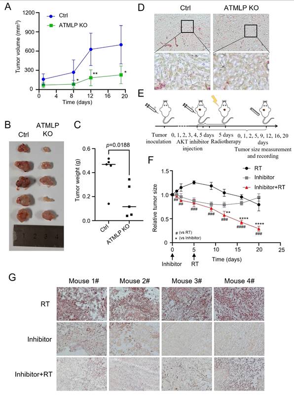 Int J Biol Sci Image