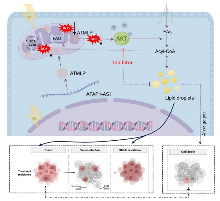 Int J Biol Sci Image