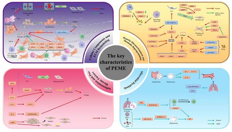 Int J Biol Sci Image