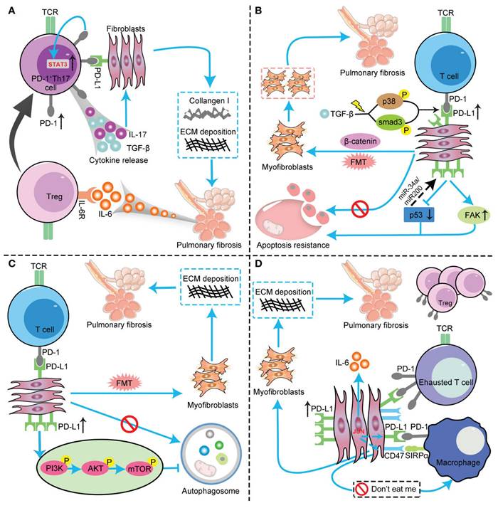 Int J Biol Sci Image