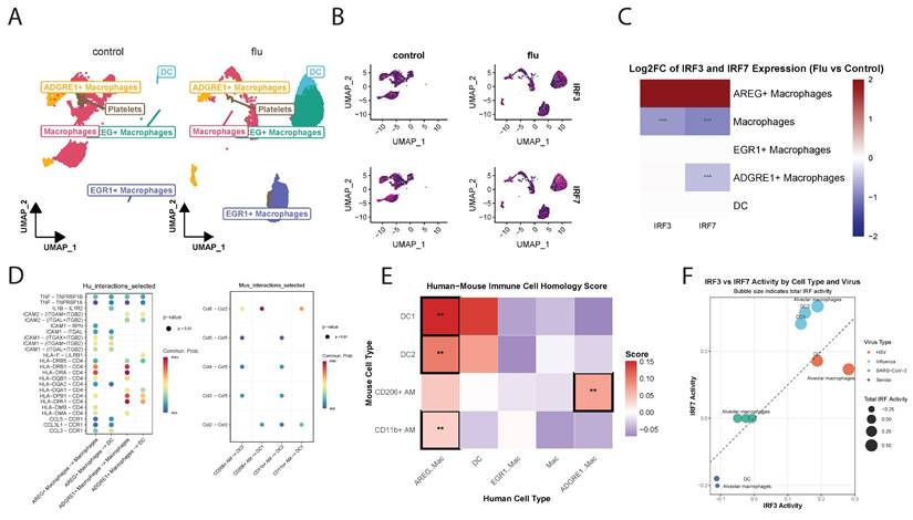 Int J Biol Sci Image