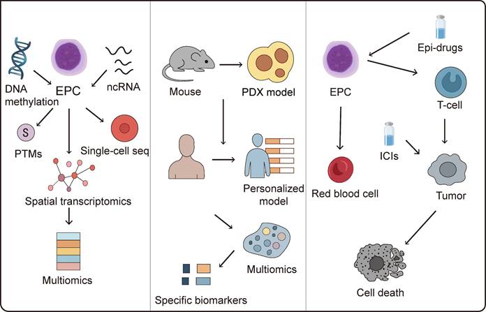 Int J Biol Sci Image