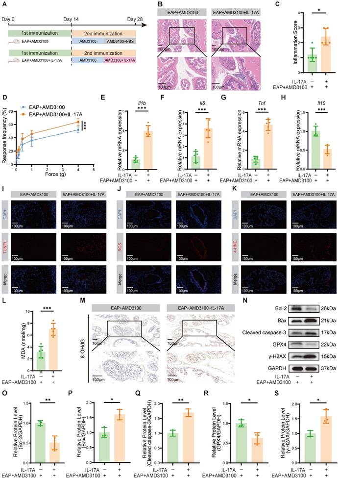 Int J Biol Sci Image