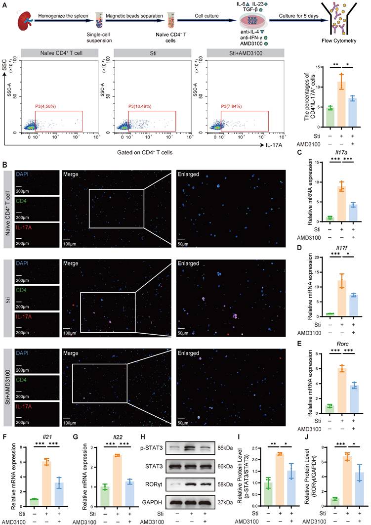 Int J Biol Sci Image