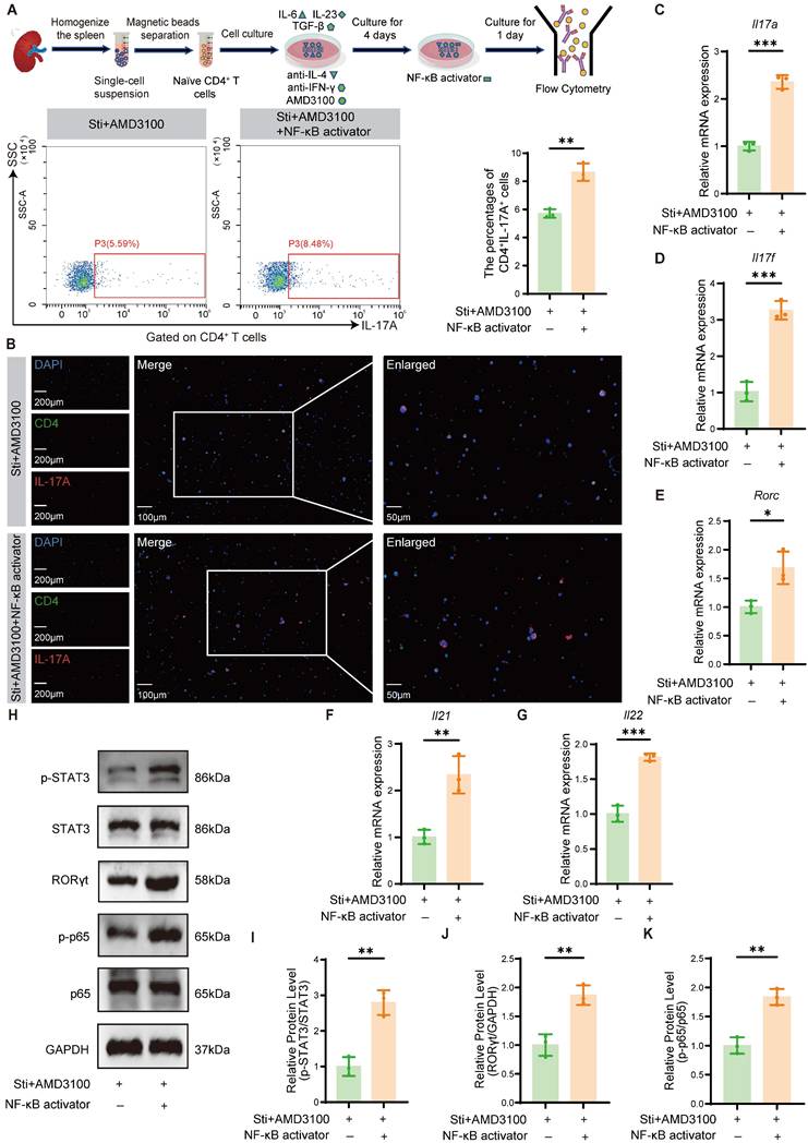Int J Biol Sci Image