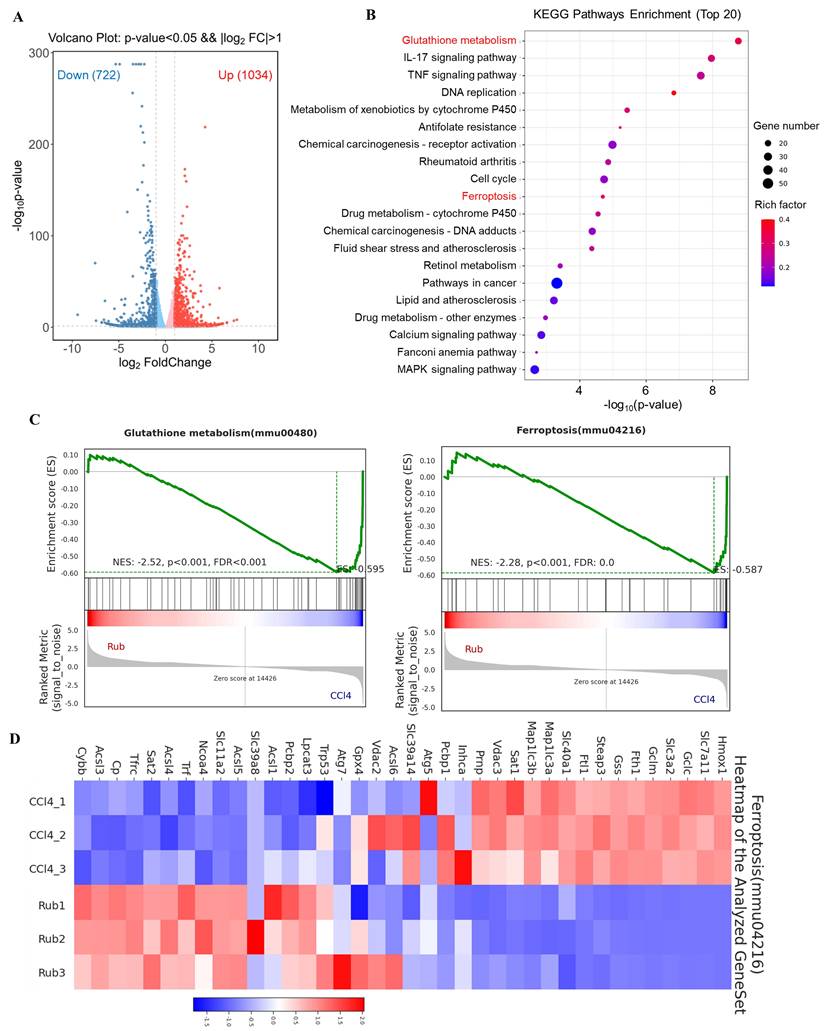 Int J Biol Sci Image
