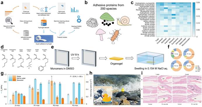 Int J Biol Sci Image