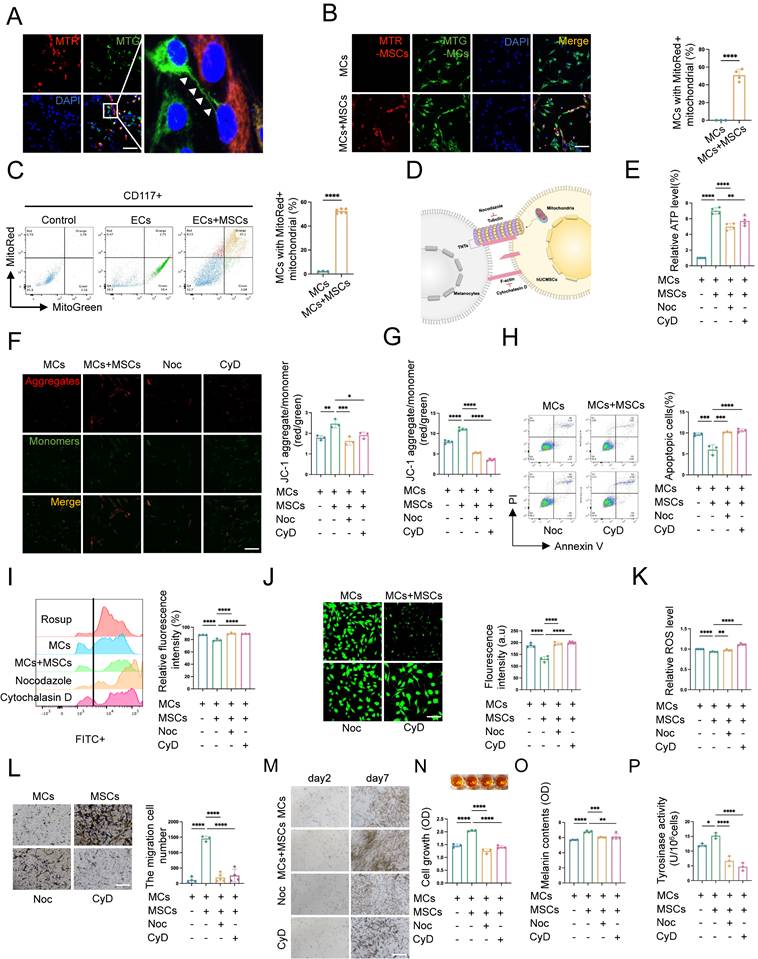 Int J Biol Sci Image