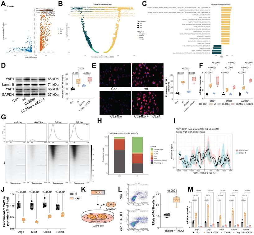 Int J Biol Sci Image