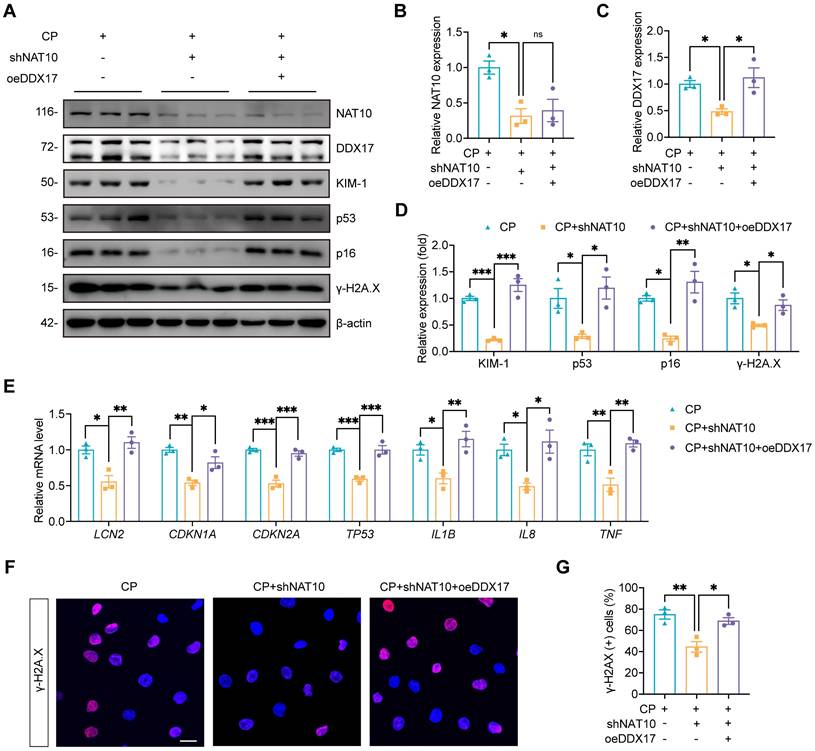 Int J Biol Sci Image