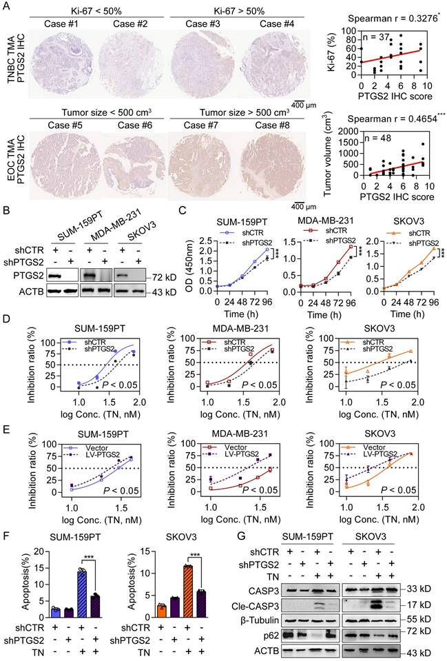 Int J Biol Sci Image