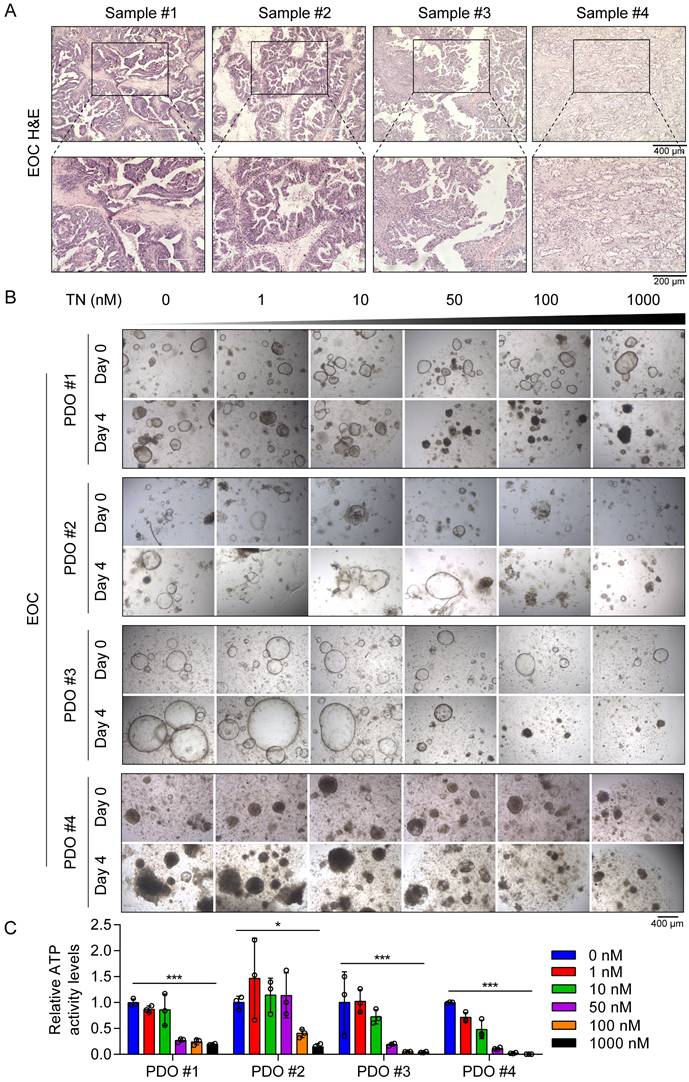 Int J Biol Sci Image