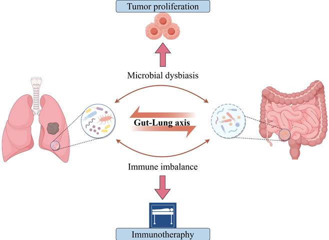 Int J Biol Sci Image