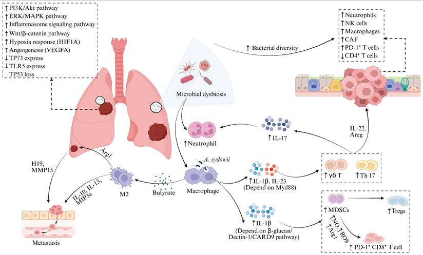 Int J Biol Sci Image