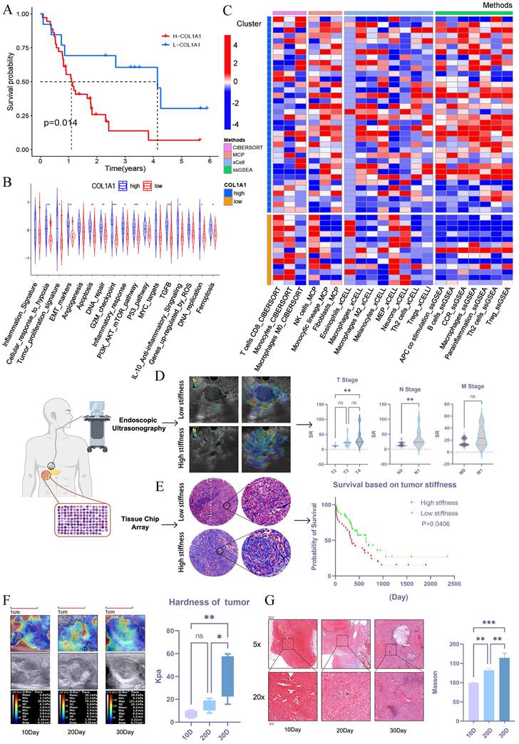 Int J Biol Sci Image