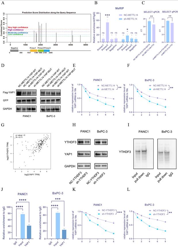 Int J Biol Sci Image