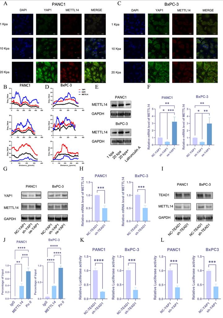 Int J Biol Sci Image