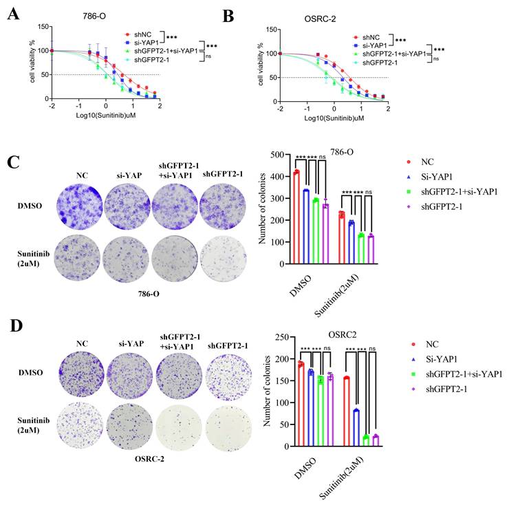 Int J Biol Sci Image