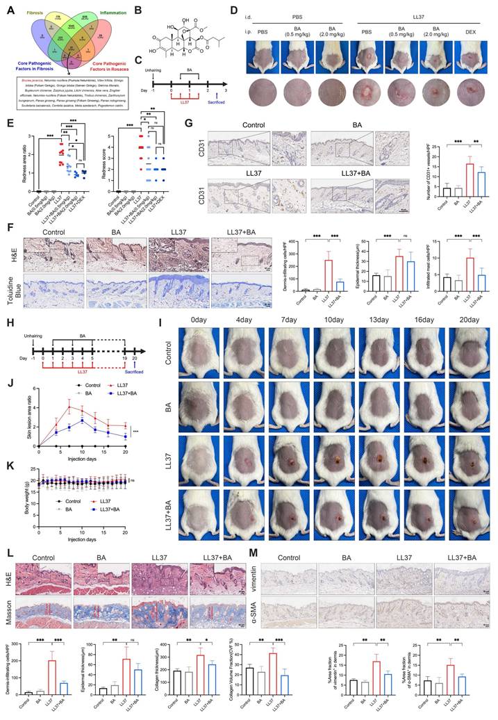 Int J Biol Sci Image