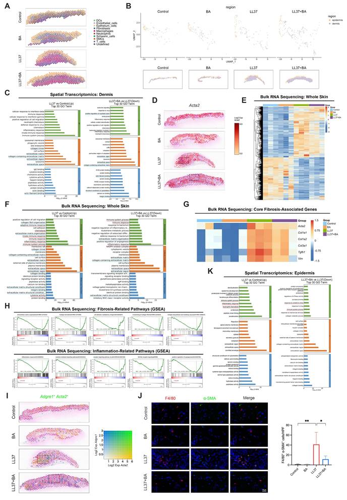 Int J Biol Sci Image