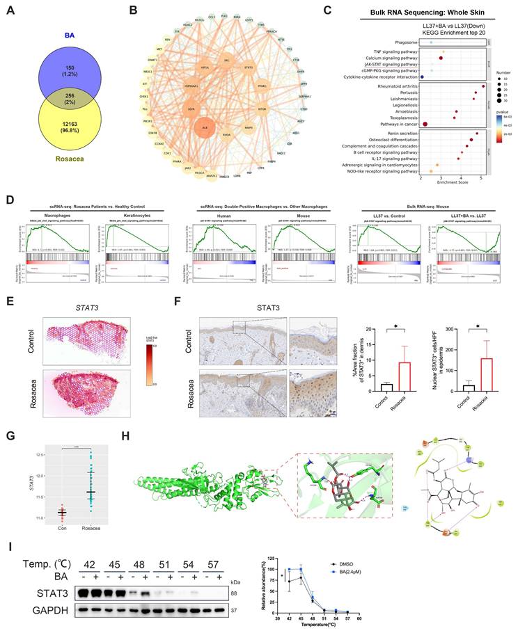 Int J Biol Sci Image