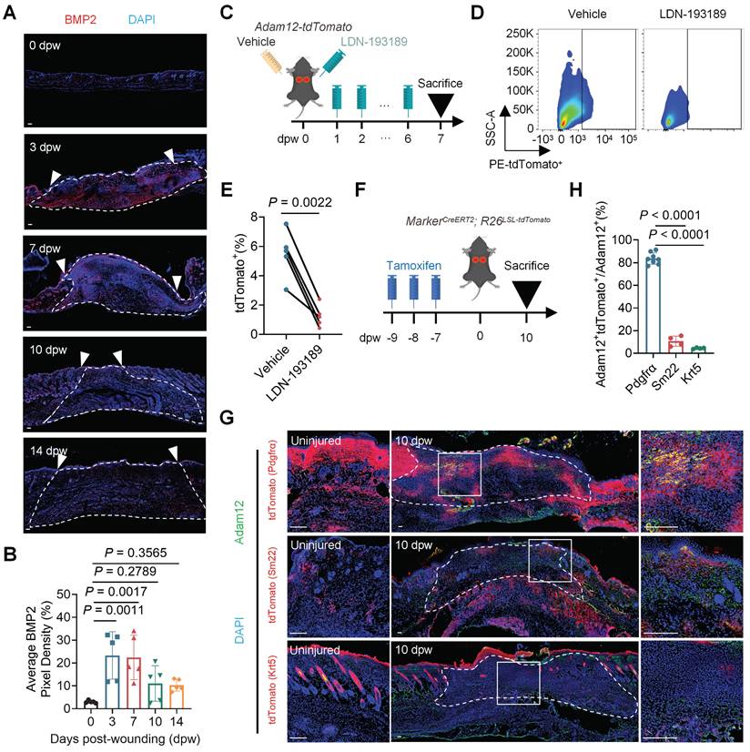 Int J Biol Sci Image
